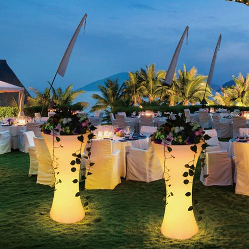 Landscape garden light