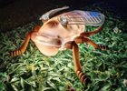 Led Cicada Light