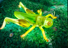 Led Cricket Light
