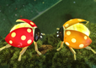Led Ladybug