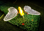 Led Acrylic Butterfly